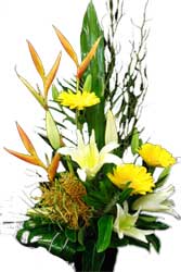 ABC Flowers St. Vincent's Hospital Deliver A031 Princess Hill Bird of Paradise lilies and gerberas flower arrangement melbourne wide free delivery to all melbourne inner suburbs