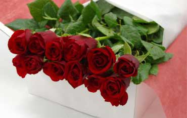 B036 Red roses in rose box a perfect gift for him, for her, for your valentine