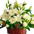 ABC Flowers st. vincent's hospital fitzroy melbourne deliver flowers in basket melbourne wide