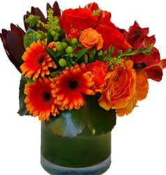 ABC Flowers St. Vincent's Hospital Fitzroy Melbourne Deliver V002 Vase arrangement gerberas roses berry melbourne wide free delivery all melbourne inner suburbs