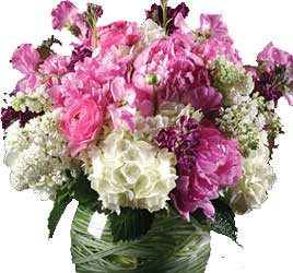 ABC Flowers st. vincent's hospital fitzroy melbourne deliver v018 maria melbourne wide free delivery melbourne inner suburbs 7 days a week