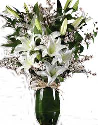 ABC Flowers st. vincent's hospital fitzroy melbourne deliver v019 lynn a white flowers arrangement in tall vase melbourne wide free delivery melbourne inner suburbs 7 days a week