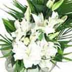 ABC Flowers st. vincent's hospital fitzroy melbourne deliver sympathy flowers melbourne wide